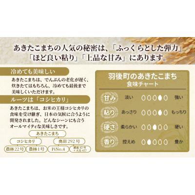 ふるさと納税 羽後町 【令和7年産】3回定期便 あきたこまち 10kg(5kg×2)[No.5325-0384] |  | 02
