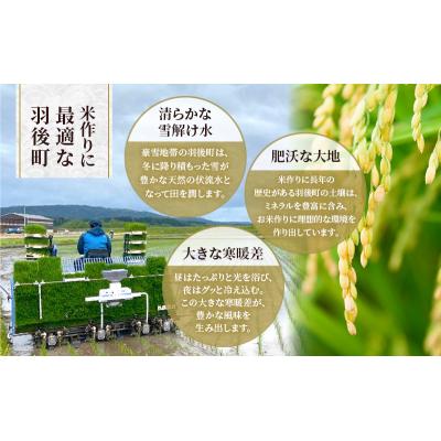 ふるさと納税 羽後町 【令和7年産】3回定期便 あきたこまち 10kg(5kg×2)[No.5325-0384] |  | 03