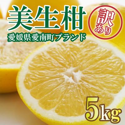 ふるさと納税 愛南町 [先行受付][2027年3月1日〜][訳あり]美生柑 約5kg フルーツアイランド・マルエム直販
