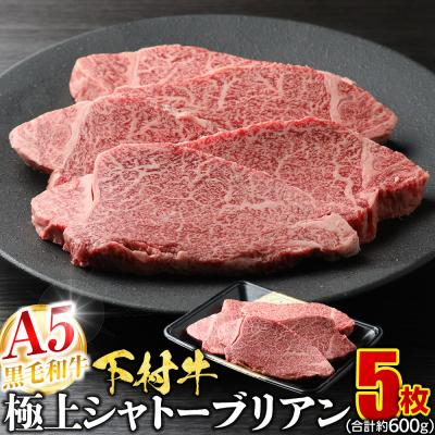 ふるさと納税 大府市 A5ランク 黒毛和牛 下村牛 極上シャトーブリアン 5枚入り約600g 牛肉 ステーキ 冷凍 お肉