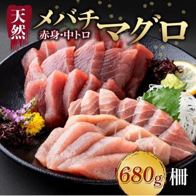 ふるさと納税 室戸市 [天然まぐろ] 中トロ・赤身 柵 計680g以上