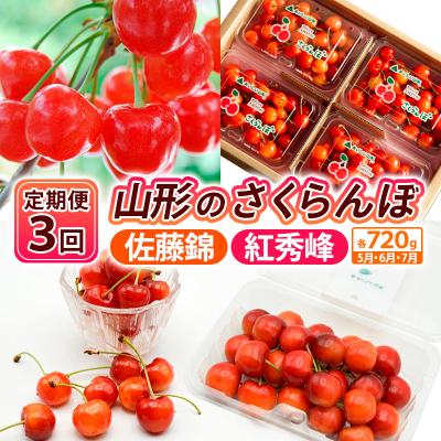 ふるさと納税 山形市 [定期便3回]山形のさくらんぼ 佐藤錦・紅秀峰 (180g×4パック)[令和8年産]FS25-003