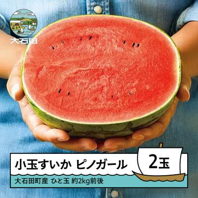 ふるさと納税 大石田町 小玉 すいか ピノガール 約2kg×2玉 2026年産 令和8年産 山形県産 大石田町