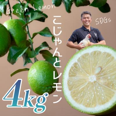 ふるさと納税 大月町 こじゃんとレモン 4kg 国産 高知県 大月町 レモン