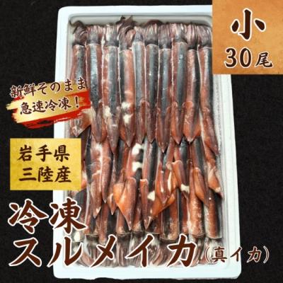 ふるさと納税 普代村 [年内発送] 冷凍スルメイカ 小サイズ 30尾入り 鮮度抜群 急速冷凍 いか 年内お届け 年内配送