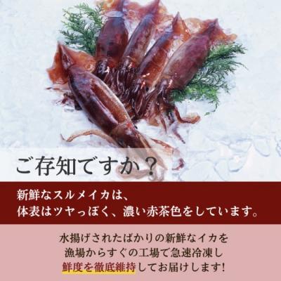 ふるさと納税 普代村 冷凍スルメイカ 小サイズ 30尾入り 鮮度抜群 急速冷凍 いか |  | 01