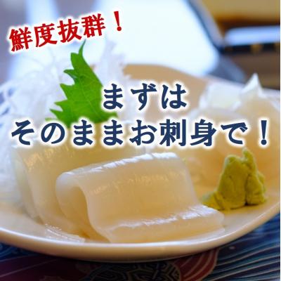 ふるさと納税 普代村 冷凍スルメイカ 小サイズ 30尾入り 鮮度抜群 急速冷凍 いか |  | 02