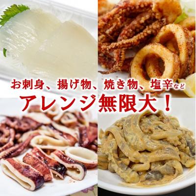 ふるさと納税 普代村 冷凍スルメイカ 小サイズ 30尾入り 鮮度抜群 急速冷凍 いか |  | 03