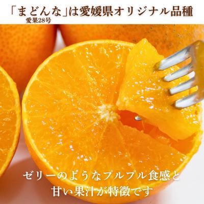 ふるさと納税 愛南町 先行受付 訳あり まどんな 2kg マドンナ みかん 愛果28号 愛媛県 愛南町 愛なんよ |  | 01