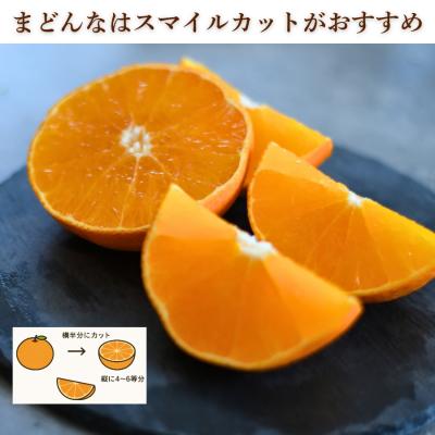 ふるさと納税 愛南町 先行受付 訳あり まどんな 2kg マドンナ みかん 愛果28号 愛媛県 愛南町 愛なんよ |  | 02