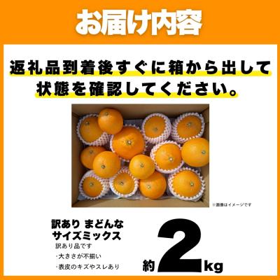 ふるさと納税 愛南町 先行受付 訳あり まどんな 2kg マドンナ みかん