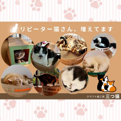 ふるさと納税 山形市 猫爪とぎセット(猫爪とぎ・猫トンネル・猫ハウス・カーゴサック) M-02 FZ26-745の画像