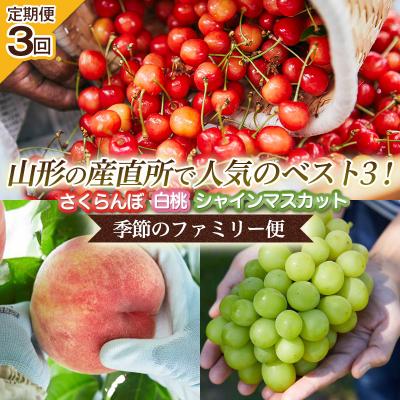 ふるさと納税 山形市 [定期便3回]山形の産直所で人気のベスト3![季節のファミリー便] FY25-223