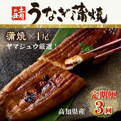 ふるさと納税 室戸市 ヤマジュウ厳選!国産蒲焼き1尾[3回定期便] 頒布会