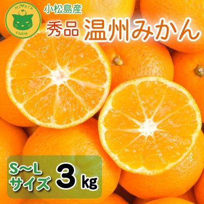 ふるさと納税 小松島市 [2026年10月20日から順次発送] みかん 秀品 温州みかん3kg