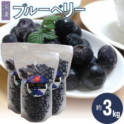 ふるさと納税 佐川町 冷凍ブルーベリー計3kg 佐川町産&lt;4〜6ヶ月程度お待たせする事があります&gt;