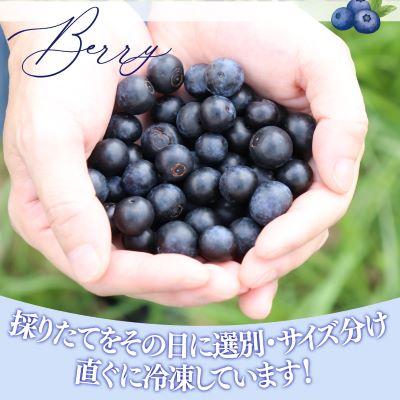 ふるさと納税 佐川町 冷凍ブルーベリー計3kg 佐川町産<4〜6ヶ月程度で発送予定> |  | 02