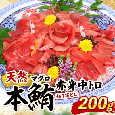 ふるさと納税 室戸市 天然本マグロ 中トロ 赤身 切り落とし 200g 小分け(100g×2パック)