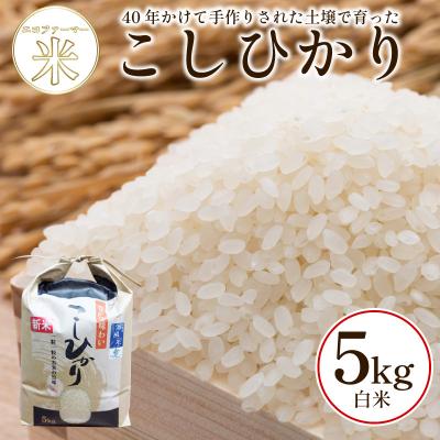ふるさと納税 小松島市 白米 こしひかり 5kg 令和7年産 新米 潮風米