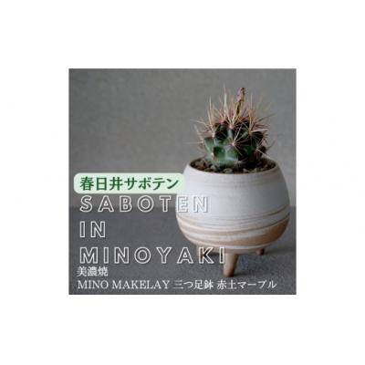 ふるさと納税 春日井市 多治見市×春日井市コラボ[美濃焼]MINO MAKELAY三つ足鉢赤土マーブル×後藤サボテン