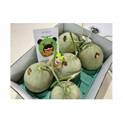 ふるさと納税 夕張市 [先行予約受付中]メロン熊ストラップゴールドと夕張メロン大箱8kg(等級:優 4〜6玉入り)W40