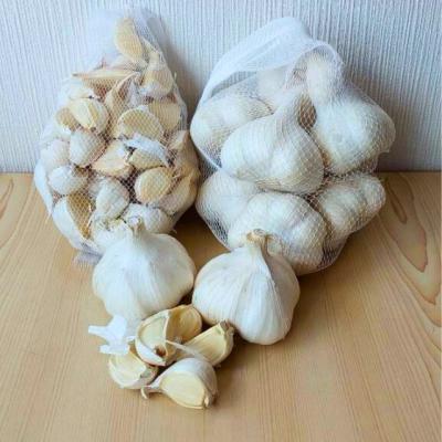 ふるさと納税 むつ市 ニンニク バラ250g ネットと大玉の1ネット(2Lサイズ)セット