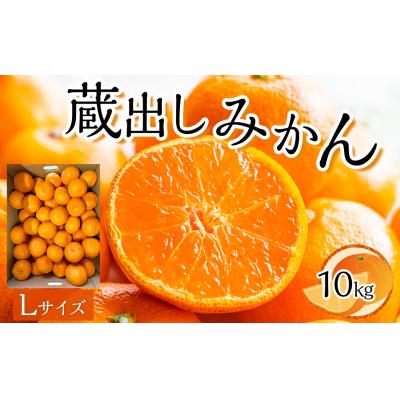 ふるさと納税 徳島市 蔵出しみかん Lサイズ(10kg)[FL011]