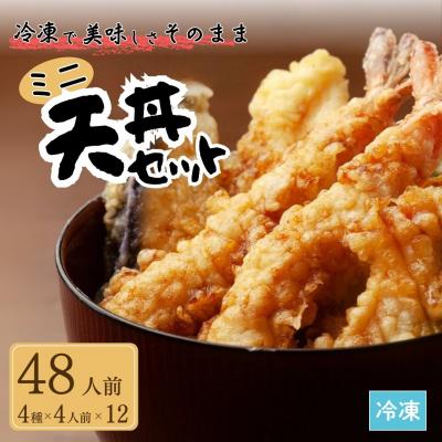 ふるさと納税 南相馬市 ミニ天丼セット 冷凍 48人前(4人前×12) aa006-ac