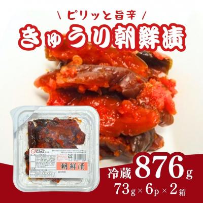 ふるさと納税 南相馬市 生カップきゅうり朝鮮漬 876g(73g×6袋)[53852-010-01]