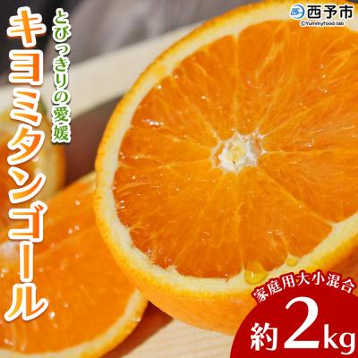 ふるさと納税 西予市 先行予約<とびっきりの愛媛 キヨミタンゴール 約2kg訳あり 家庭用 果物 柑橘