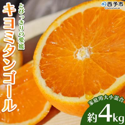 ふるさと納税 西予市 先行予約 <とびっきりの愛媛 キヨミタンゴール 約4kg(家庭用大小混合)> 訳あり 家庭用