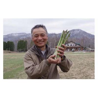 ふるさと納税 夕張市 [令和8年7〜8月中旬発送・先行予約受付中]夕張の大地が育んだ夏アスパラ(1kg)