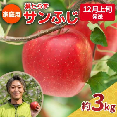 ふるさと納税 五所川原市 [2025年12月上旬発送]りんご 3kg 程度 葉とらず サンふじ [家庭用] 青森県 五所川原市