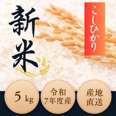 ふるさと納税 小山町 令和7年度産 新米コシヒカリ 5kg