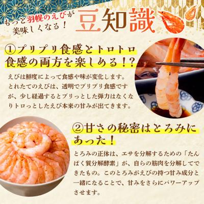 ふるさと納税 羽幌町 超速リキッド凍結でドリップゼロ!北海道羽幌産甘えび・ぼたんえびセット計400g |  | 02
