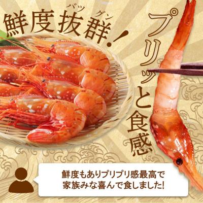 ふるさと納税 羽幌町 超速リキッド凍結でドリップゼロ!北海道羽幌産生鮮ぼたんえび 400g |  | 01