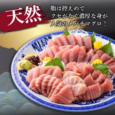 ふるさと納税 室戸市 天然メバチマグロ 【 中トロ 】200g(柵) |  | 02