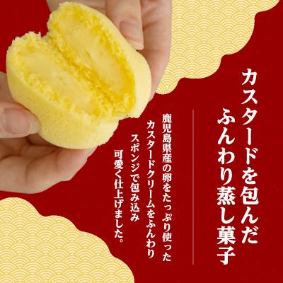 ふるさと納税 鹿児島市 かすたどん 24個入　K167-002 |  | 01