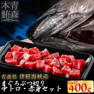 ふるさと納税 むつ市 津軽海峡産マグロ 中トロブツ切・赤身ブツ切セット 各200g