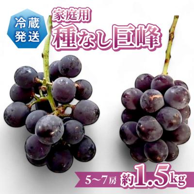 ふるさと納税 東御市 先行受付2026年発送[Grape Farm Kodaira]家庭用種なし巨峰 約1.5kg