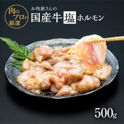 ふるさと納税 小郡市 お肉屋さんの国産牛 塩ホルモン 500g 国産牛 肉 味付け 牛肉[No5354-2203]