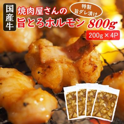 ふるさと納税 国東市 焼肉屋さんの旨とろホルモン 200g×4P (計800g) _2613R