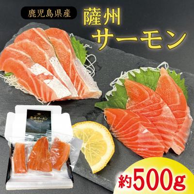 ふるさと納税 薩摩川内市 薩州サーモン 500g 鹿児島 国産 養殖 サーモン