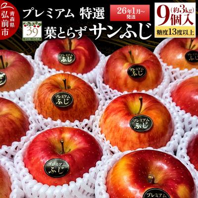 ふるさと納税 弘前市 りんご糖度13度以上 特選プレミアム 葉とらずサンふじ 約3kg|24_yuk-090301b