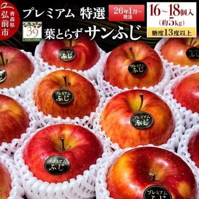 ふるさと納税 弘前市 りんご糖度13度以上 プレミアム 葉とらずサンふじ 約5kg|24_yuk-090501b