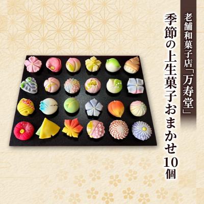ふるさと納税 羽後町 季節の上生菓子おまかせ10種(計10個)
