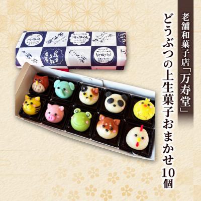ふるさと納税 羽後町 どうぶつの上生菓子おまかせ10種(計10個)