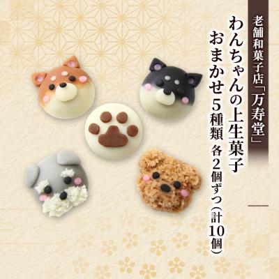 ふるさと納税 羽後町 わんちゃんの上生菓子おまかせ5種 各2個ずつ(計10個)