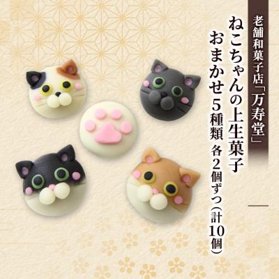 ふるさと納税 羽後町 ねこちゃんの上生菓子おまかせ5種 各2個ずつ(計10個)