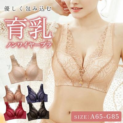 ふるさと納税 小牧市 ノンワイヤー育乳ブラ (ワインレッド 40/90薄型パット)[173N45-35]